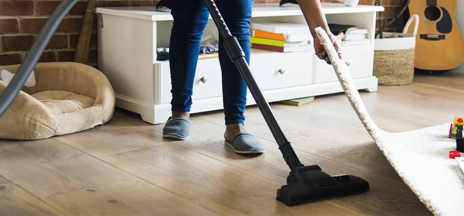 Ev Bakımı, Hijyen Standartları, Temizlik Planı, Ev İyileştirme, Toz Alma Teknikleri, Leke Temizleme Çözümleri, Ev Düzeni, Doğal Temizlik Ürünleri, Temizlik Ekipmanları, Misafir Hazırlığı
                              